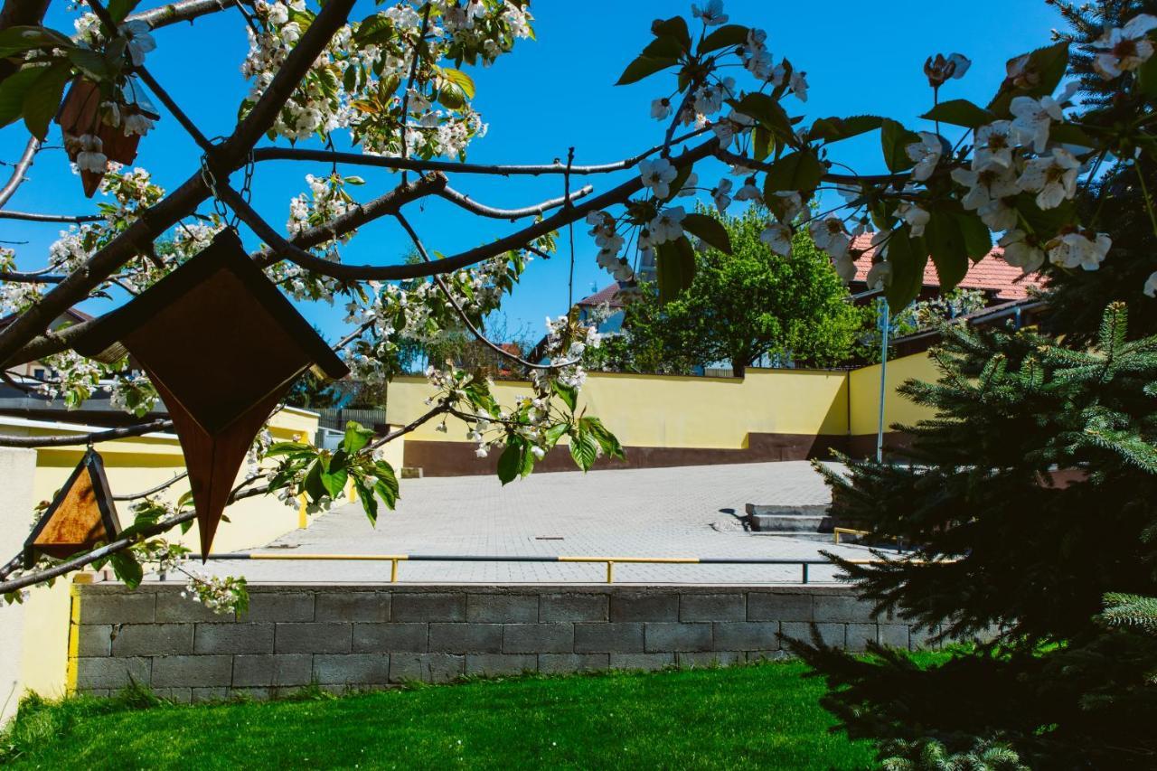 Pensiunea Imperial Targu Mures Exterior foto